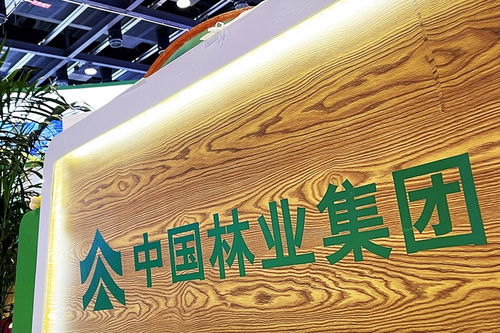 中林集團子公司商票逾期風波加劇，原董事長遭起訴，旅游業(yè)務(wù)何去何從？